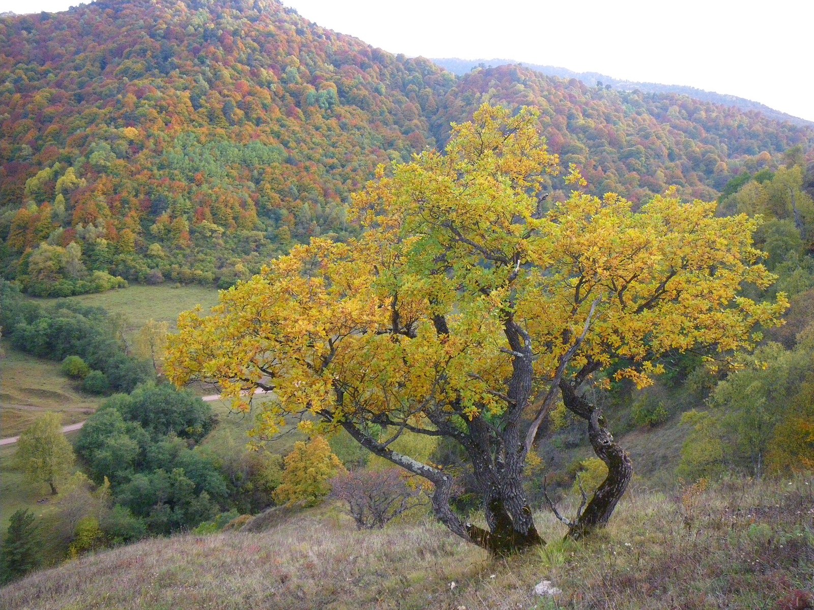 Река Аксаут