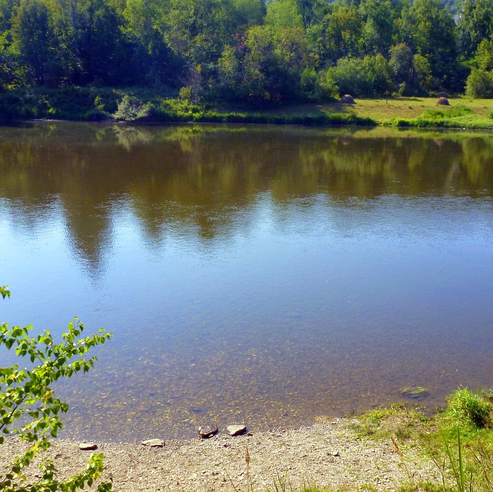 Река Белая