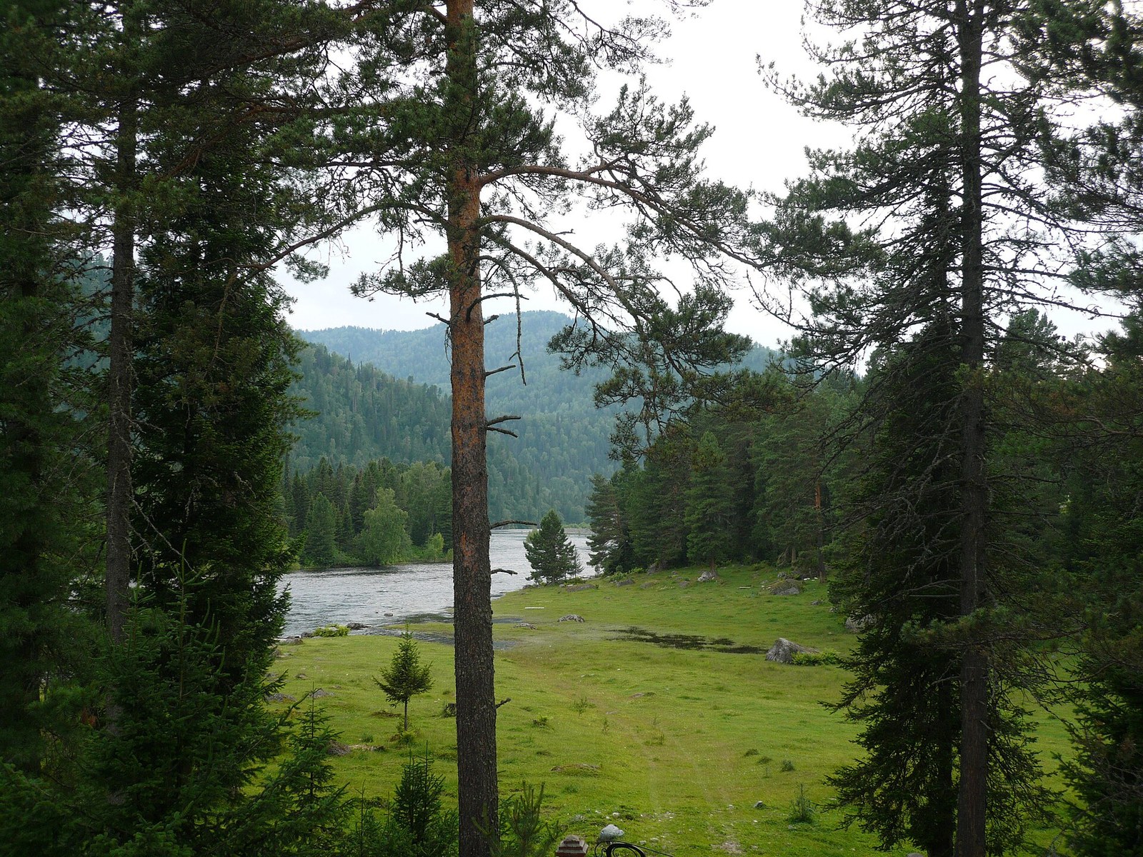 Biya River - source. Altai Republic. Река Бия - исток. Турочакский район, республика Алтай