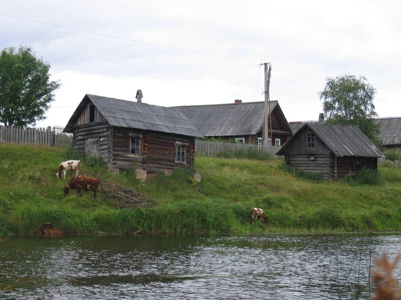 Oyat river / Река Оять