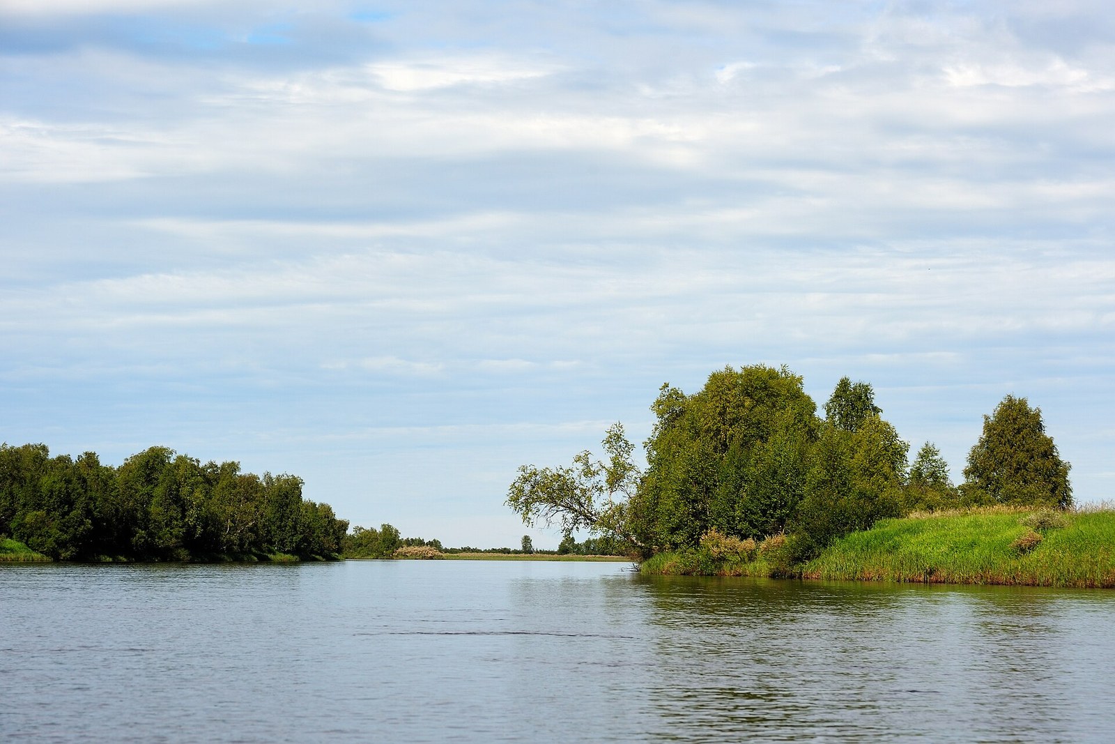 Поной, развилка у Плоской Курьи
