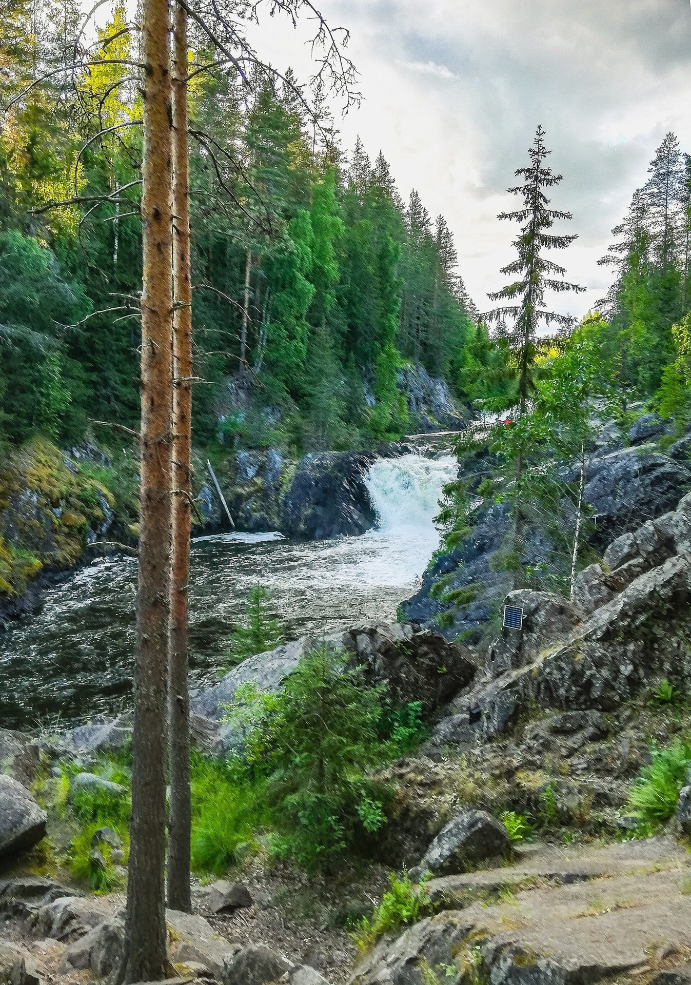 Река Суна