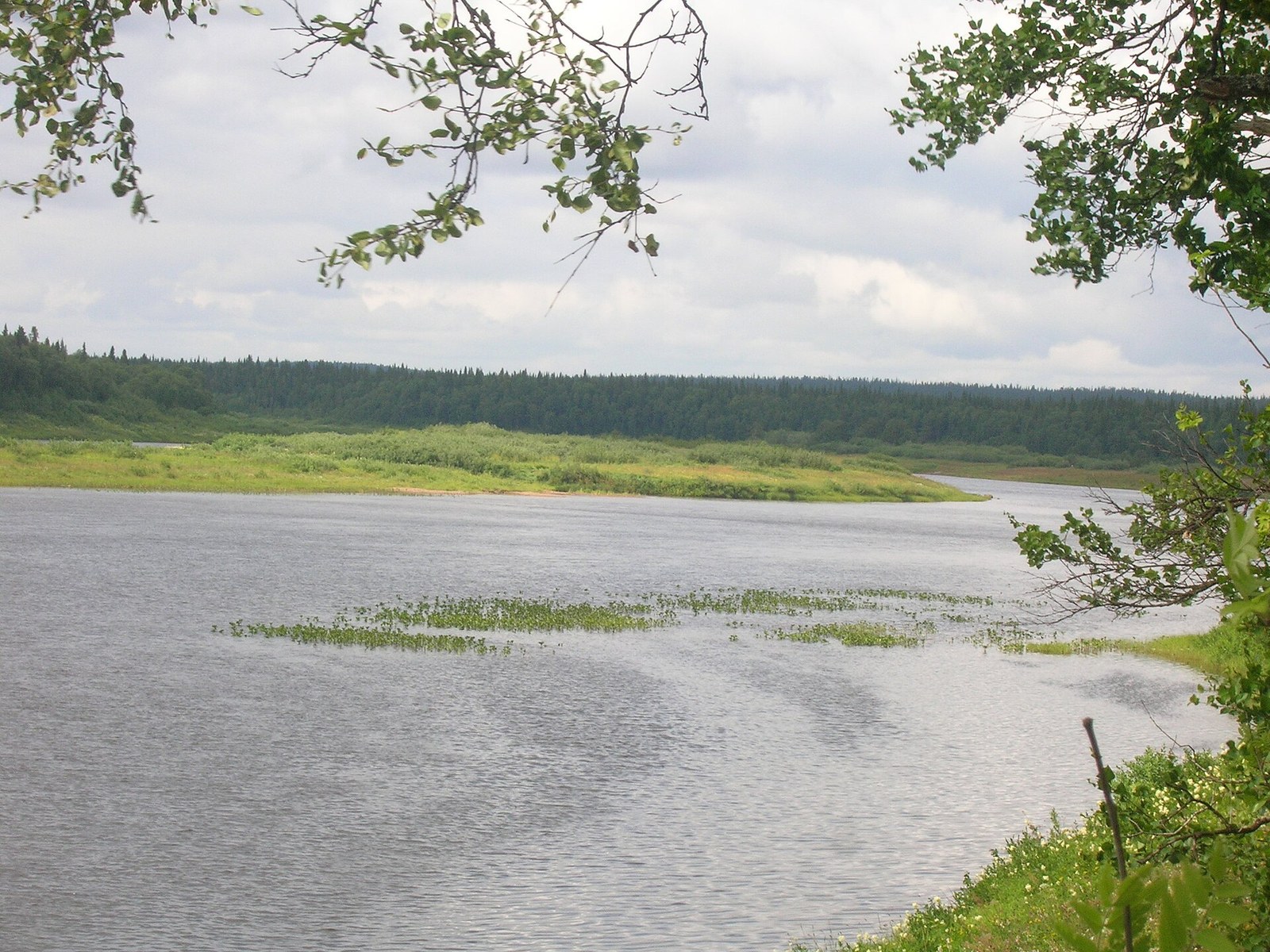 Река Варзуга